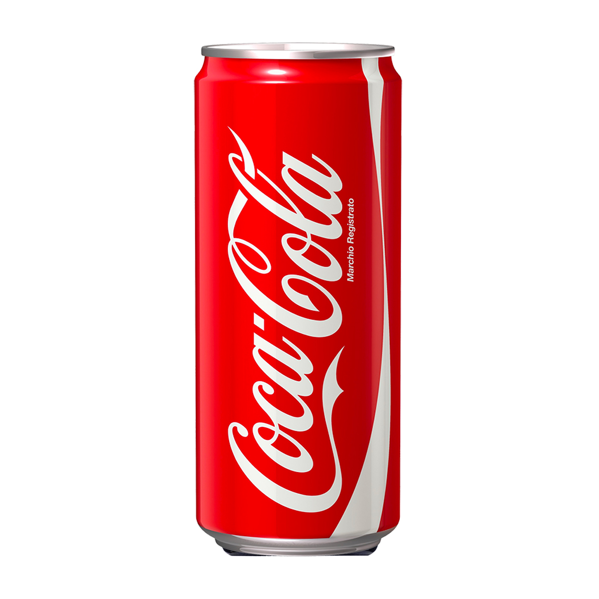 COCA COLA 33cl LATTINA (cartone x24)